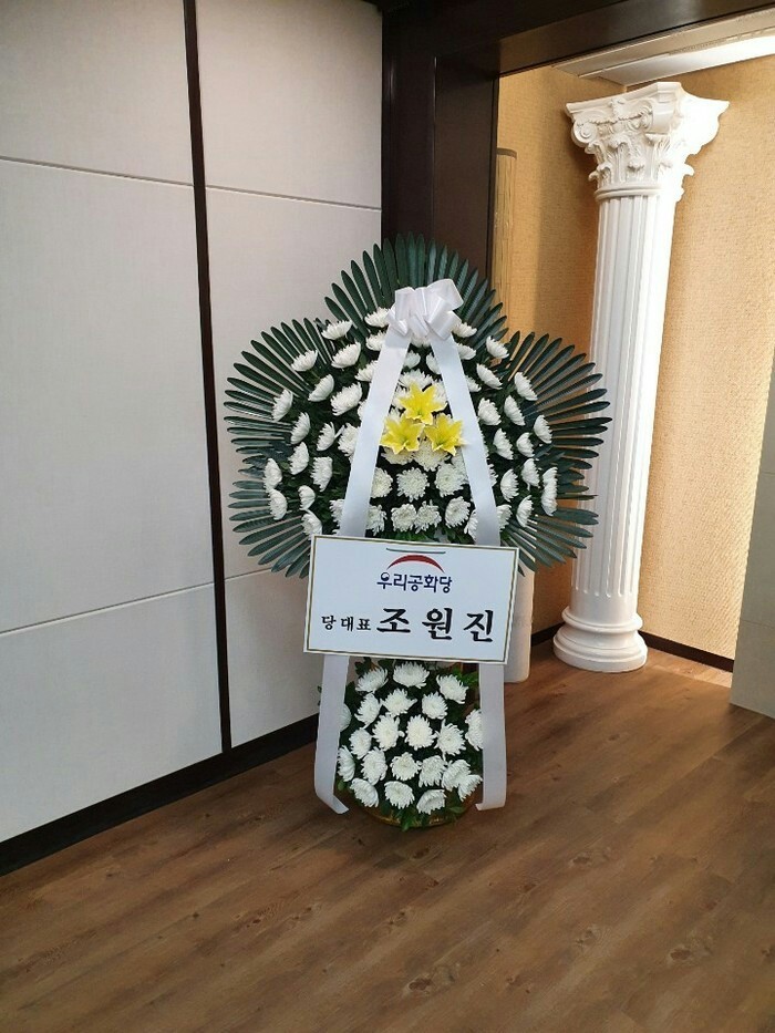 ¿øº» »õâÀ¸·Î º¸±â