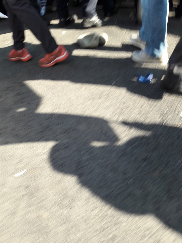 ¿øº» »õâÀ¸·Î º¸±â