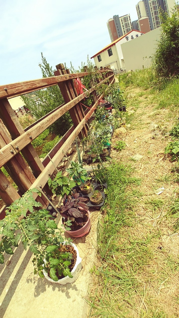 »çÁø È®´ëÇØ¼ ½½¶óÀ̵å·Î º¸±â