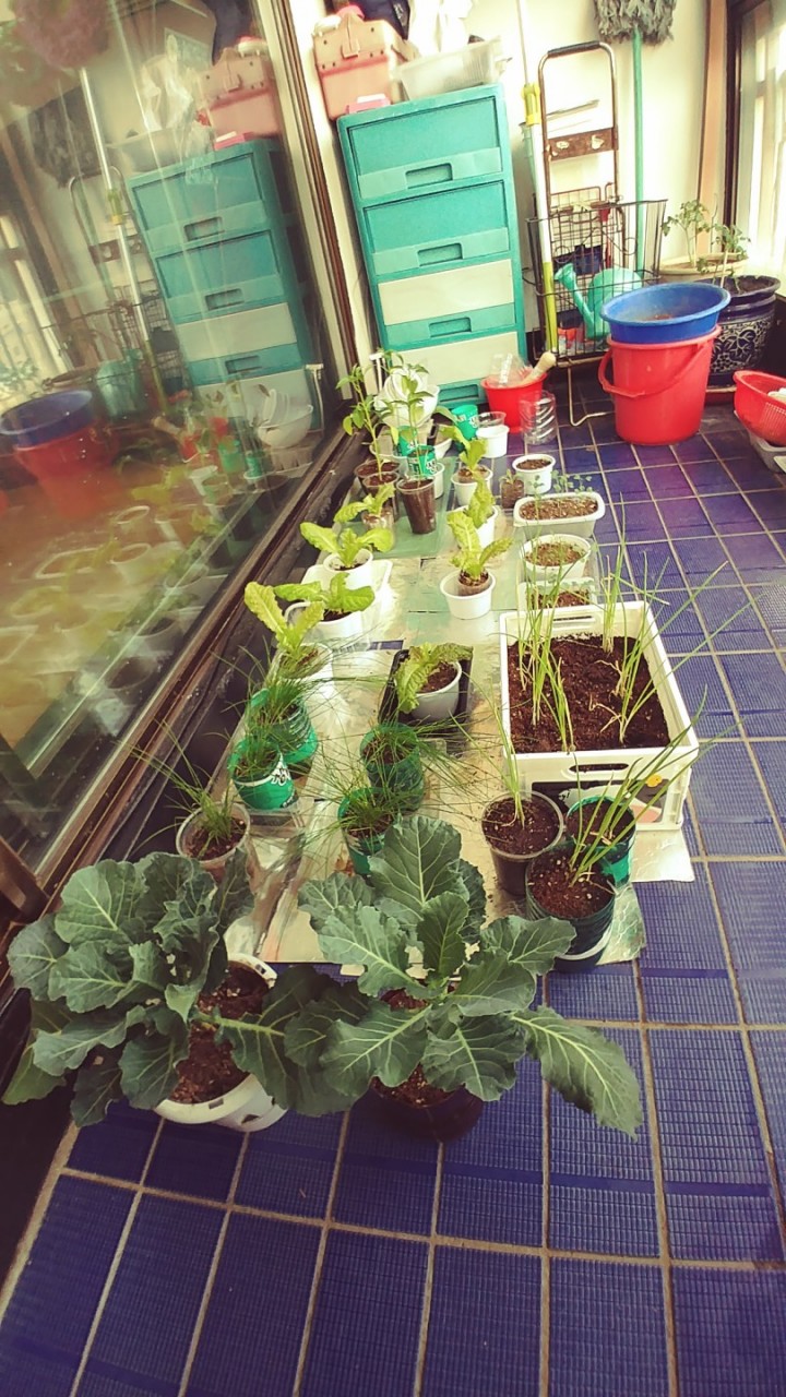 ¿øº» »õâÀ¸·Î º¸±â