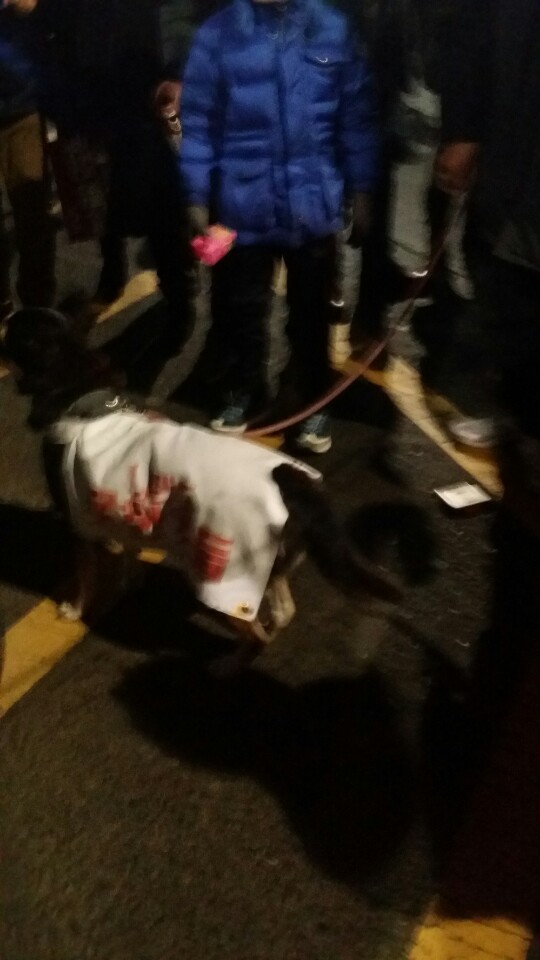 »çÁø È®´ëÇØ¼ ½½¶óÀ̵å·Î º¸±â