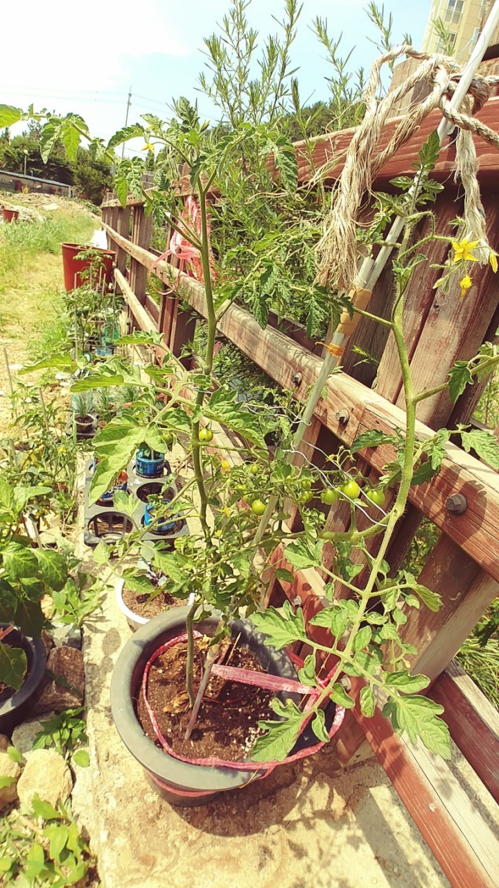 »çÁø È®´ëÇØ¼ ½½¶óÀ̵å·Î º¸±â